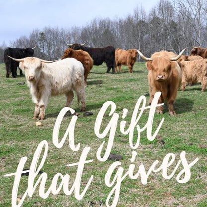 MSF Gift Certificate