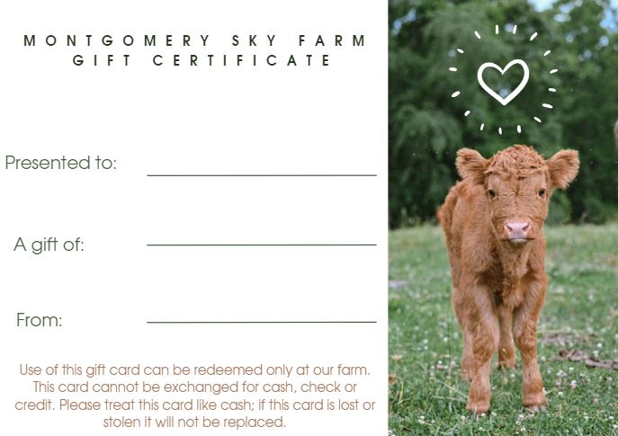 MSF Gift Certificate