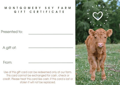 MSF Gift Certificate
