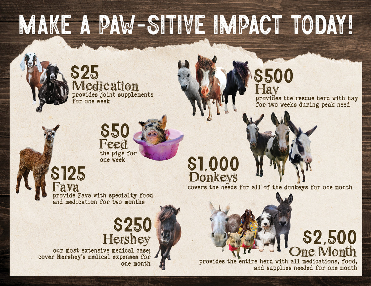Fundraising Dinner for Final Run Rescue | Animal Rehabilitation Rescue | Saturday, November 21, 2026