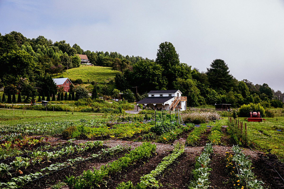 farm rows farmhouse