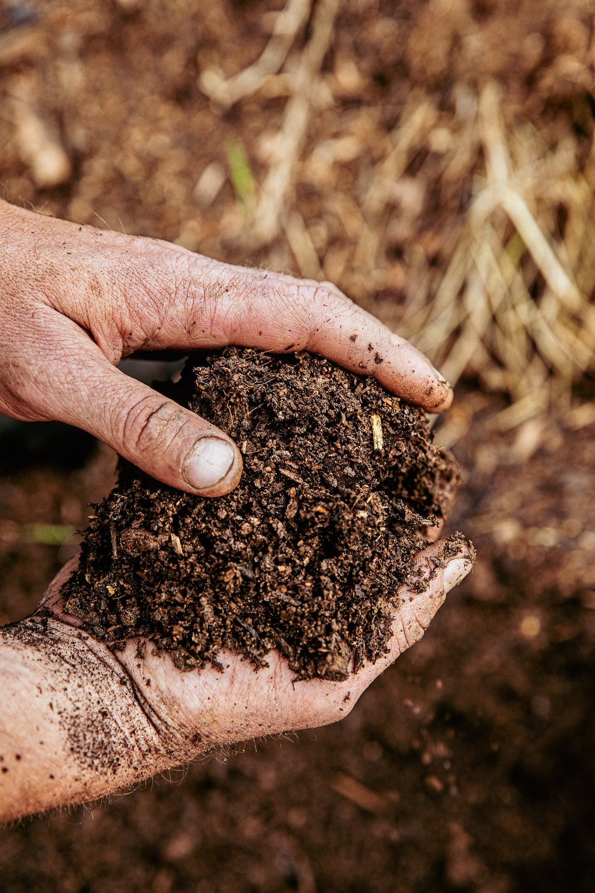 hand soil
