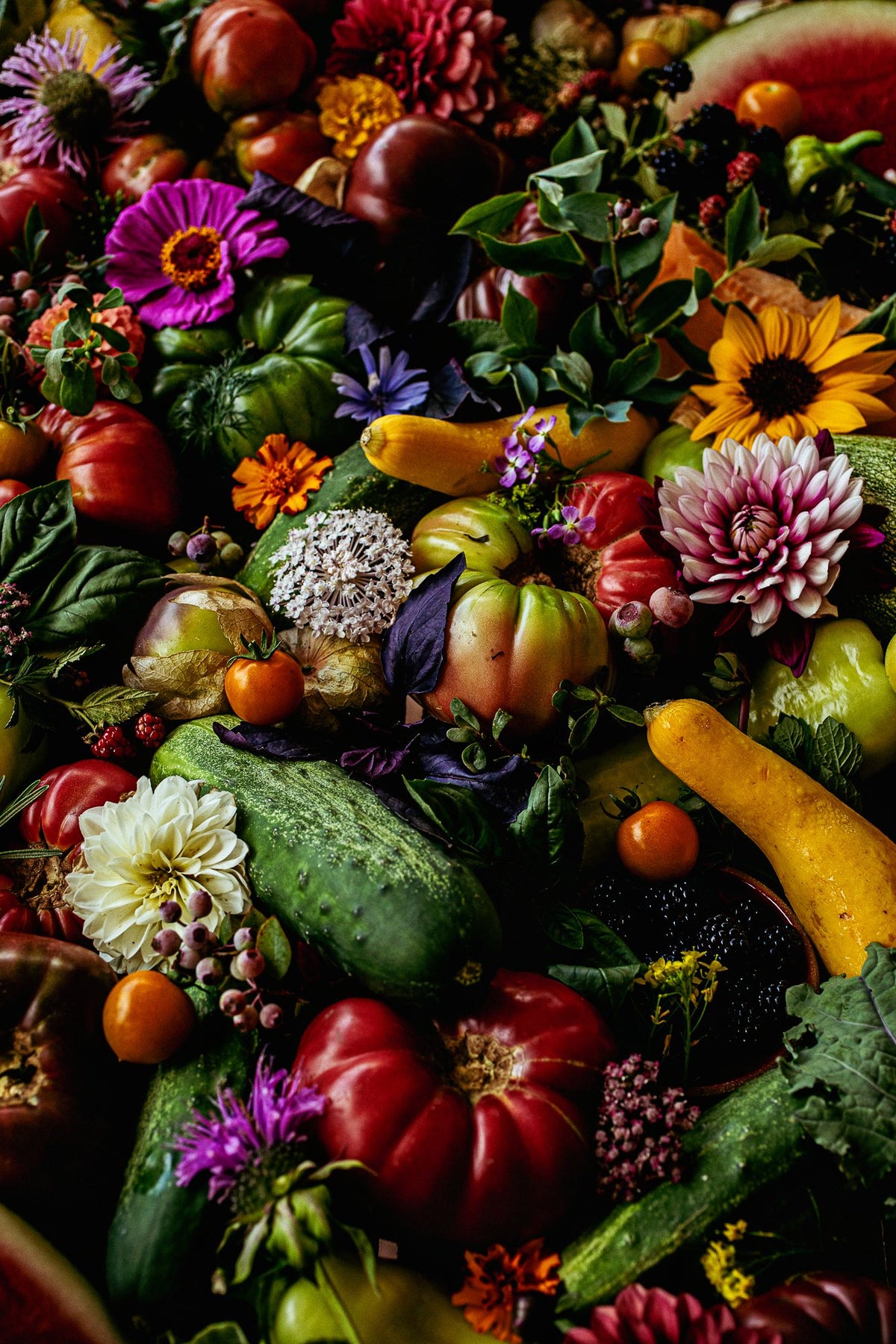 harvest flatlay portrait