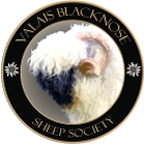 partner valais blacknose sheep society